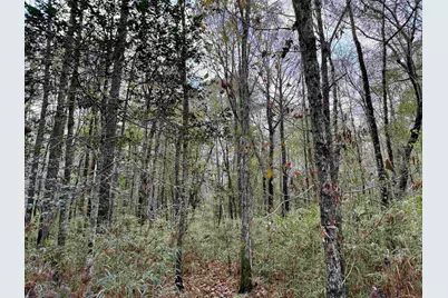 Tract C - Tbd Pennyroyal Rd., Georgetown, SC 29440 - Photo 19