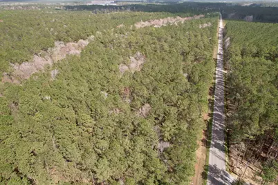 Tract C - Tbd Pennyroyal Rd., Georgetown, SC 29440 - Photo 3