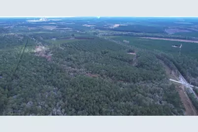 Tract C - Tbd Pennyroyal Rd., Georgetown, SC 29440 - Photo 15