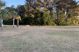 788 Lalton Dr, Conway, SC 29526 - Photo 67