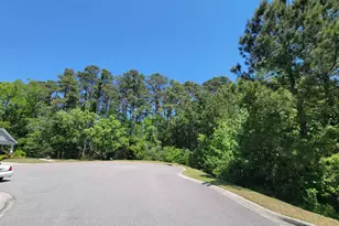 765 Ricegrass Pl, Little River, SC 29566 - Photo 23