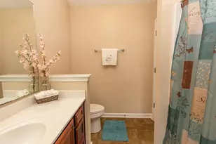 333 Carolina Springs Ct, Conway, SC 29527 - Photo 19