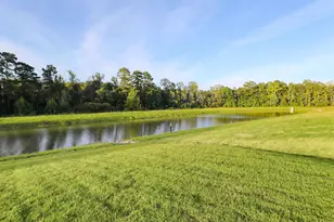 172 Bolsin Ct, Conway, SC 29526 - Photo 49