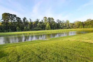 172 Bolsin Ct, Conway, SC 29526 - Photo 51