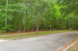 153 Duany Dr, Georgetown, SC 29440 - Photo 1