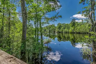 218 Oak Landing Dr, Conway, SC 29527 - Photo 39