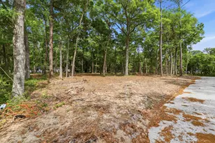 Tract A Jacks Circle Rd, North Myrtle Beach, SC 29582 - Photo 7