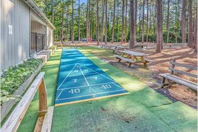 248 Cottonwood Ln., Conway, SC 29526 - Photo 53