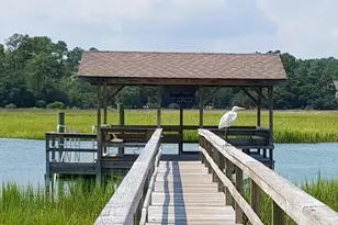 647 Norris Dr, Pawleys Island, SC 29585 - Photo 49