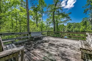 262 Oak Landing Dr, Conway, SC 29527 - Photo 39