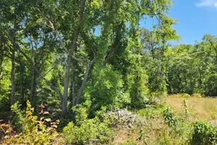 9 Ditch Digger Ln, Murrells Inlet, SC 29576 - Photo 1