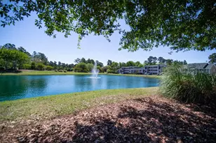 725 Blue Stem Dr, Pawleys Island, SC 29585 - Photo 29