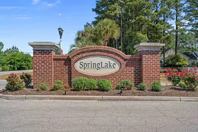 457 Spring Lake Dr., Myrtle Beach, SC 29579 - Photo 47