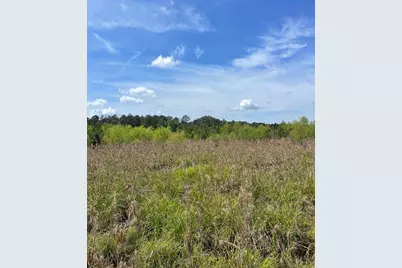 Tbd 30 Ac Rocky Ford Rd., Salters, SC 29590 - Photo 5