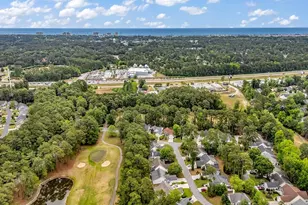 9452 Pinckney Ln, Murrells Inlet, SC 29576 - Photo 49