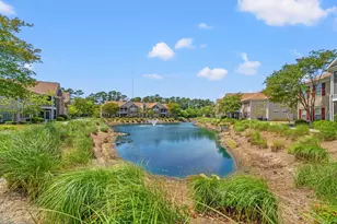 120 Veranda Way, Murrells Inlet, SC 29576 - Photo 29