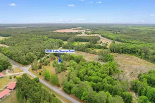 10201 Lake Swamp Rd, Nichols, SC 29581 - Photo 43