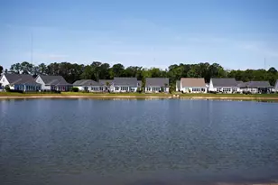 223 Yellow Rail St, Murrells Inlet, SC 29576 - Photo 39