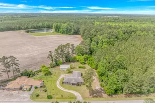9051 Hwy 917, Nichols, SC 29581 - Photo 5