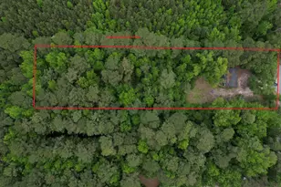 1487 Tory Hill Rd, Loris, SC 29569 - Photo 9