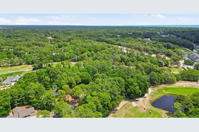 209 Moss Dale Ln., Pawleys Island, SC 29585 - Photo 33