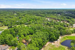 209 Moss Dale Ln, Pawleys Island, SC 29585 - Photo 33