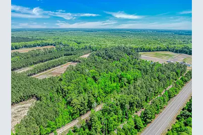 Tbd Piney Grove Church Rd, Gresham, SC 29546 - Photo 5
