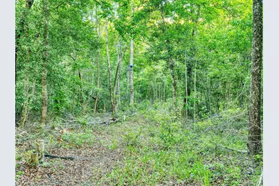 Tbd Chair Rd., Hemingway, SC 29554 - Photo 19
