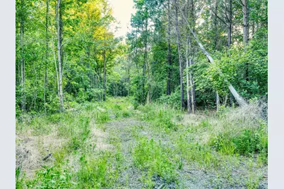 Tbd Chair Rd., Hemingway, SC 29554 - Photo 21