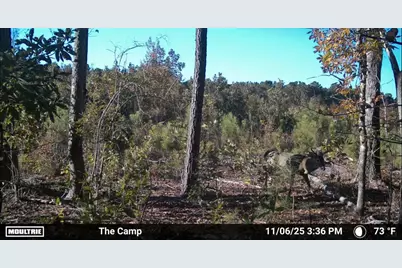 Tbd Chair Rd., Hemingway, SC 29554 - Photo 3