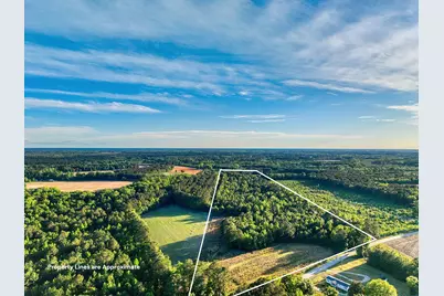 Tbd Chair Rd., Hemingway, SC 29554 - Photo 1