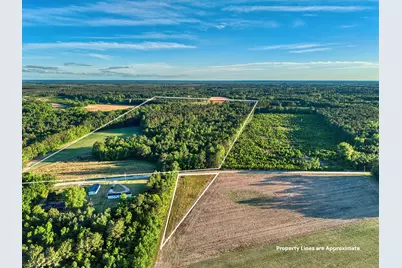 Tbd Chair Rd., Hemingway, SC 29554 - Photo 5