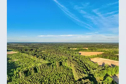 Tbd Chair Rd., Hemingway, SC 29554 - Photo 35