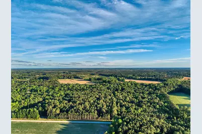 Tbd Chair Rd., Hemingway, SC 29554 - Photo 33