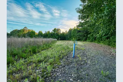 Tbd Chair Rd., Hemingway, SC 29554 - Photo 31