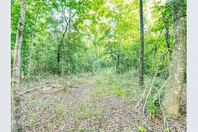 Tbd Chair Rd., Hemingway, SC 29554 - Photo 11