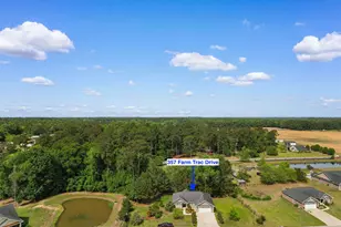 357 Farm Trac Dr, Galivants Ferry, SC 29544 - Photo 37