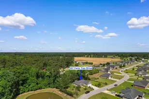 357 Farm Trac Dr, Galivants Ferry, SC 29544 - Photo 35