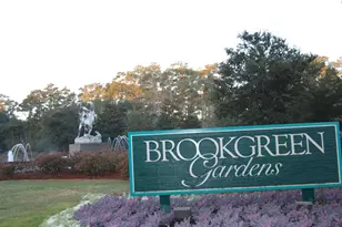 293 Southern Breezes Cir, Murrells Inlet, SC 29576 - Photo 59