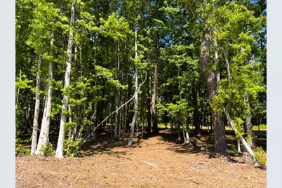 9904 Highway 17 North, McClellanville, SC 29458 - Photo 15