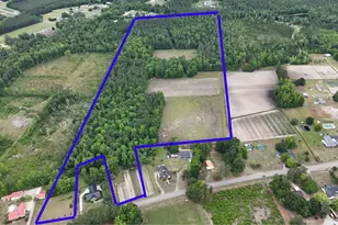 Tbd Hwy 905, Conway, SC 29526 - Photo 1