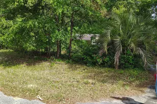 166 Telfair Rd, Georgetown, SC 29440 - Photo 1