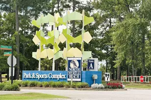 346 Cypress Springs Way, Little River, SC 29566 - Photo 43