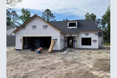 423 St. John Rd., Galivants Ferry, SC 29544 - Photo 1