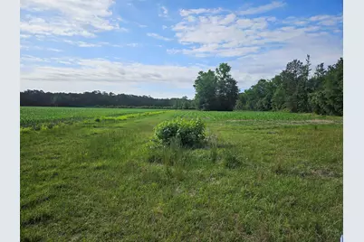 54.71Ac Willoughby Rd., Nichols, SC 29581 - Photo 3