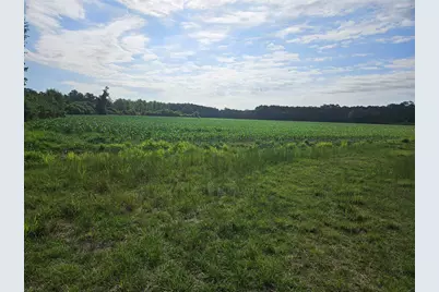 54.71Ac Willoughby Rd., Nichols, SC 29581 - Photo 1