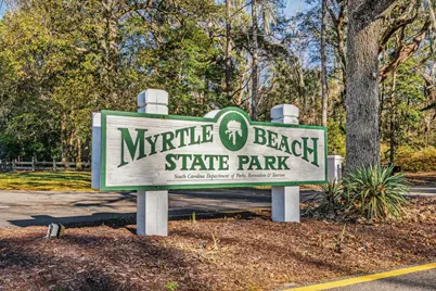 1529 Virgo Ln., Myrtle Beach, SC 29575 - Photo 53