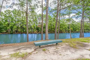 1529 Virgo Ln, Myrtle Beach, SC 29575 - Photo 51