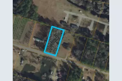 Tbd Amhurst Rd., Galivants Ferry, SC 29544 - Photo 1