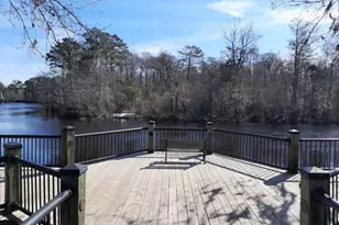 167 Palm Terrace Loop, Conway, SC 29526 - Photo 35